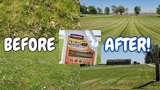 How I Transformed My Lawn In 7 days: Picking The Best Weed Killer