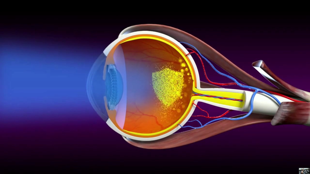 Protecting Eyes from Harmful Blue Light Super Lutein/S Lutena/ S