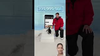 #helpmemakethismakesense #penguin #automobile #challenge #funny #tech