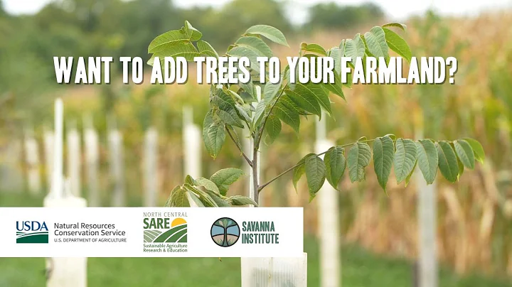 What Is Agroforestry? | Introduction