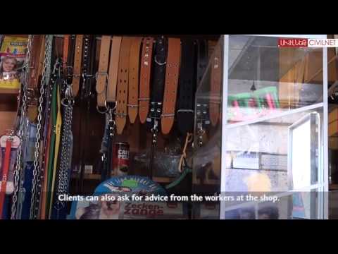 Video: Կենդանիների խանութ Նովոսիբիրսկում «Թաց քիթ»՝ հասցեներ, բացման ժամեր, ակնարկներ