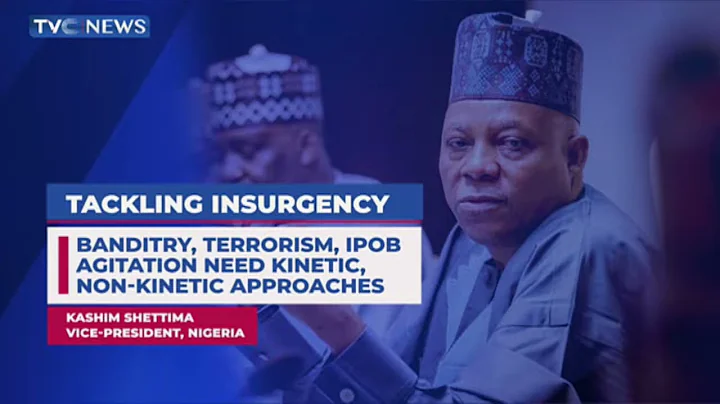 Banditry, Terrorism, IPOB Agitation Need Kinetic, Non-Kinetic Approaches - VP Kashim Shettima