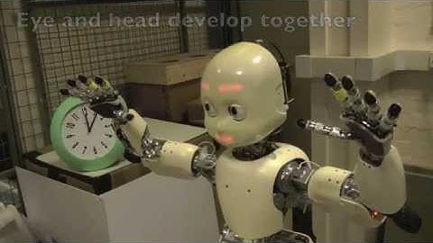 Time-lapse iCub development