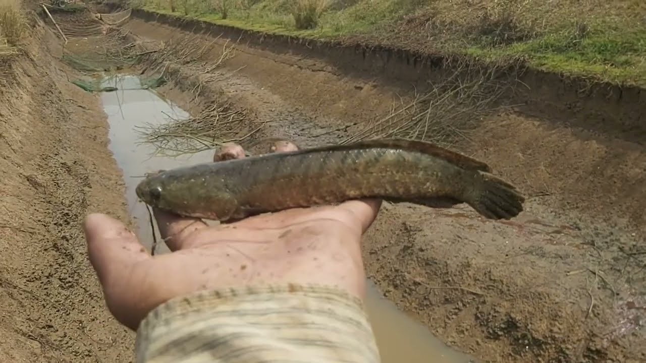 ធ្វើដំណើរទៅទាញកញ្ឆែត#ក្នុងបៀ