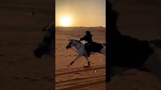 beautiful hijab girl Islamic girl horse riding hijabi style ??