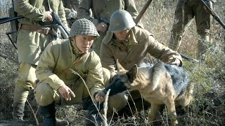 日軍派出搜查犬追擊村民，卻被村民用1個小陷阱輕鬆破解！