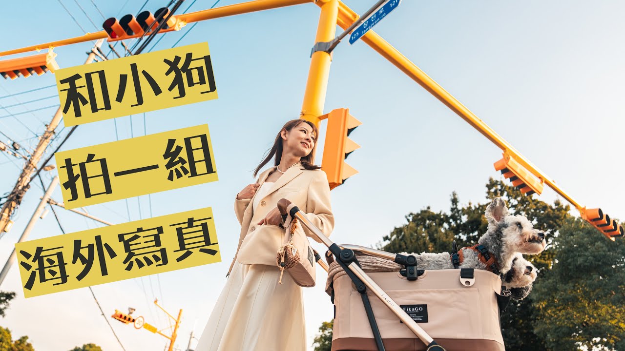 【帶狗狗出國】濟州島感動最終章！在韓國拍一組毛孩海外寫真