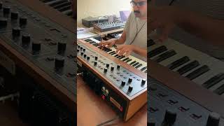 Prophet-5 Yacht Rock Shuffle
