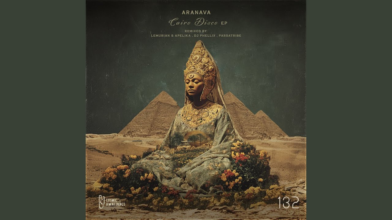 Cairo Disco feat. Hamed Habibpour (DJ Phellix Remix)