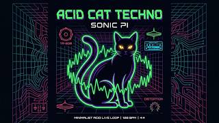 Acid Cat Techno | Minimalist Acid Live Loop #acidtechno #acid #sonicpi