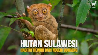 Download Lagu Hutan Sulawesi: Habitat Satwa dari Negeri “Dongeng”, Daerah Paling Unik di Indonesia MP3 Download Lagu Hutan Sulawesi: Habitat Satwa dari Negeri “Dongeng”, Daerah Paling Unik di Indonesia MP3