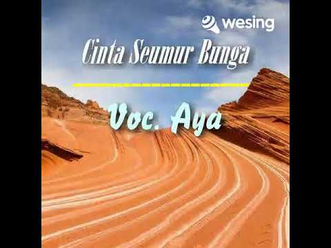 Cinta Seumur Bunga