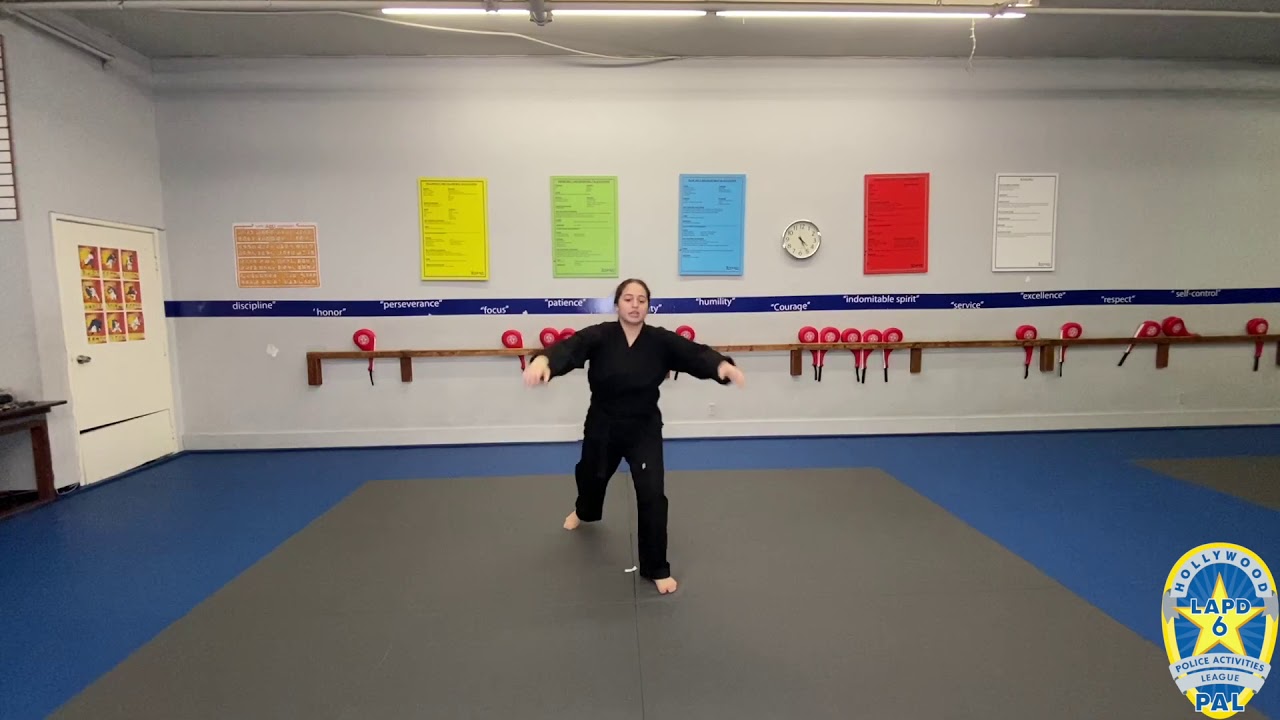 Hollywood PAL: Martial Arts Joong-Gun Form