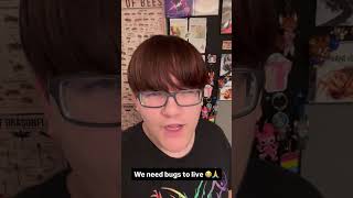 We need bugs guys 😭 #bugs #bug #funny #insect #insects #spider #spiders #entomology #fyp #trending