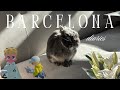 life with my bunny | our daily routine in barcelona + playing heartopia