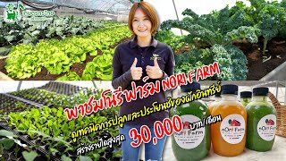 พาชมโนรี ฟาร์ม Nori Farm สร้างรายได้สูงสุด 30,000 บาทต่อเดือน l ชมสวนเกษตรกรไทย Ep120