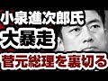 小泉進次郎氏、迷走　ついに菅義偉元総理を裏切る　完全終了のお知らせ　【自民党総裁選2024】2024年9月25日