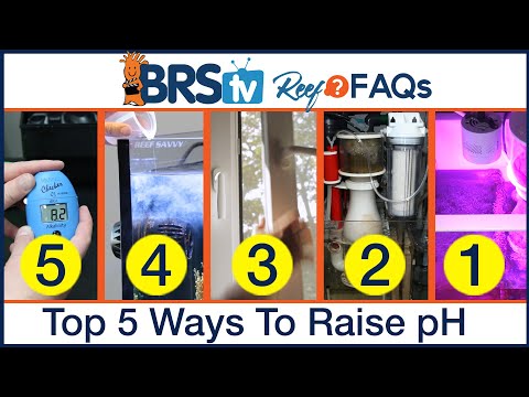 Top 5 Tips: How to raise pH in reef tanks and saltwater tanks | Reef FAQs