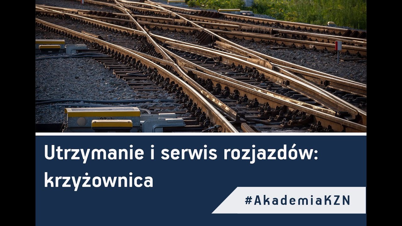 Utrzymanie i serwis rozjazdu: krzyżownica