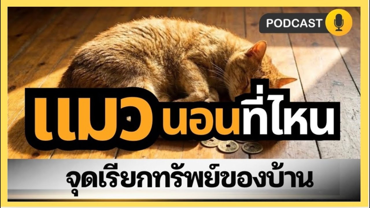 แมวนอนที่ไหน | จุดเรียกทรัพย์ของบ้านตามหลักฮวงจุ้ย