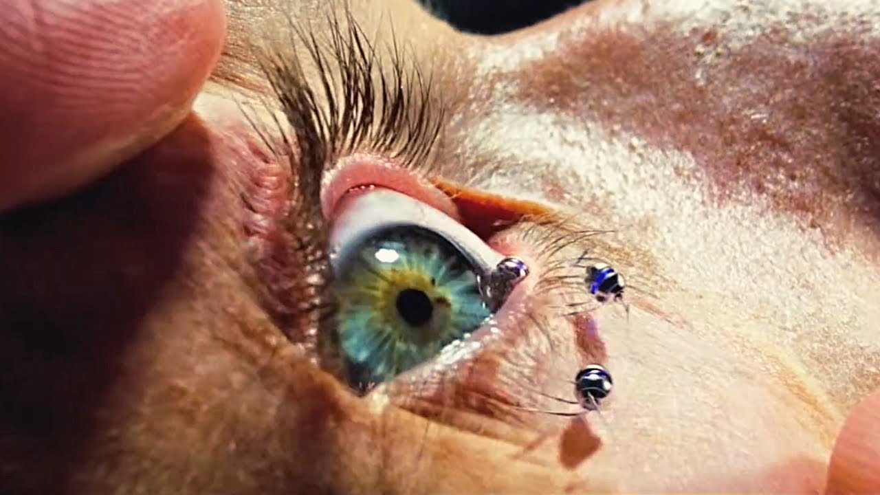  11 31  - YouTube Auto PHP Script