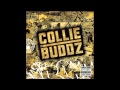 My everything  collie buddz collie buddz