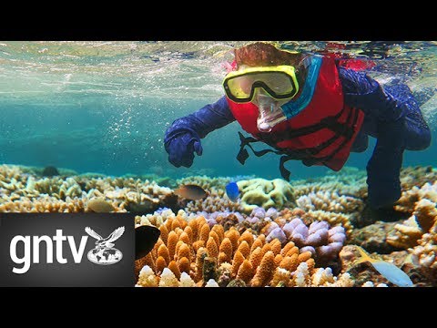 8-most-beautiful-snorkelling-destinations-in-the-world---gn-guides