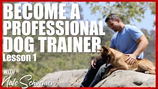 Become a Professional Dog Trainer. Lesson 1  Terminology