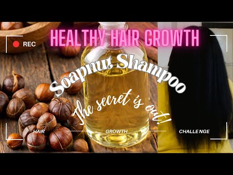 How I Make Soap Nut Shampoo | The Best Hair Growth Hack‼️