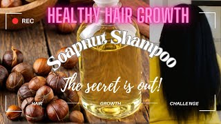 How I Make Soap Nut Shampoo | The Best Hair Growth Hack‼️