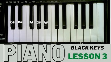 BEGINNER Piano Lesson 3 - Black Keys