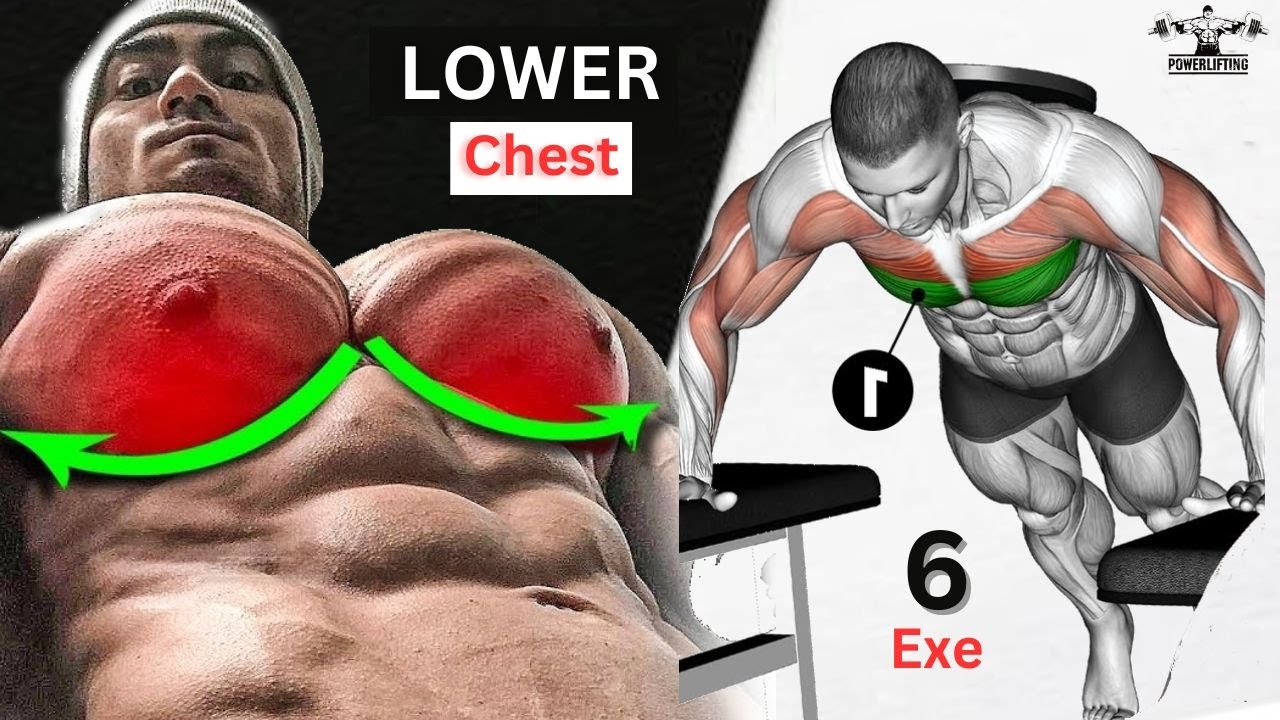 6 BEST EXERCISE LOWER CHEST WORKOUT 🔥 How to Get Bigger Chest YouTube