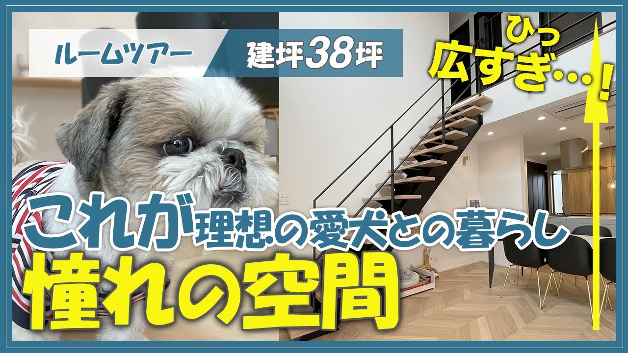 愛犬と暮らすおしゃれな家ルームツアー