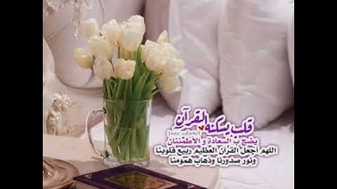 🌸 تلاوة خاشعة للقارئ فارس الاعجم "قال موسى لقومه استعينوا بالله و اصبروا" 🌸