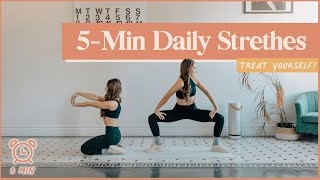 5-Minute Daily Stretch Routine (Do This Every Day!)