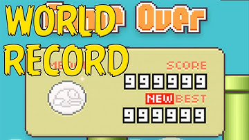Highest Flappy Birds Score Ever (With Tutorial)