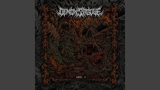 Visions