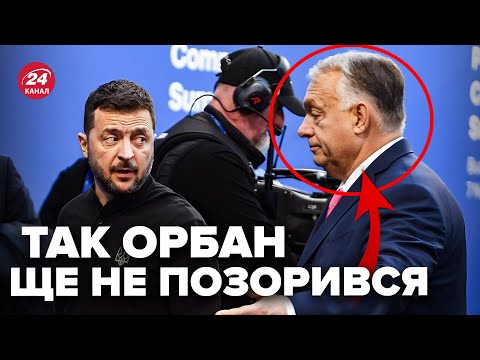 🤯ОРБАН налажав ПРИ ВСІХ! Обурив ЗЕЛЕНСЬКОГО витівкою. Президент Румунії жорстко ПРИНИЗИВ прем'єра