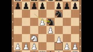 Top 7 Aggressive Chess Openings.