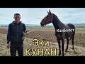 Канболоттон КУНАНДАР АРЗАН ЧЫКТЫ