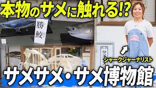「サメサメ・サメ博物館」誕生！！シャークジャーナリスト沼口麻子さんに聞いてみた
