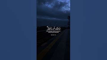القارئ بدر التركي // اكتب شيء تؤجر عليه 😊❤