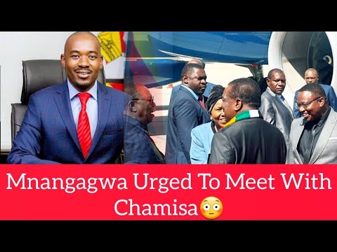 Mnangagwa Urged To Meet With Chamisa😳