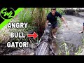 Trying to clean BULL GATOR PIT!!!