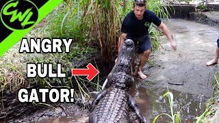 Trying to clean BULL GATOR PIT!!!