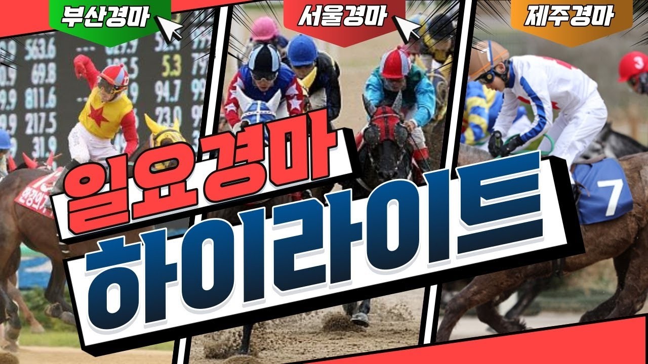 경마] 2026년4월19일 경주영상 하이라이트(서울/부산)#YTN배대상경주