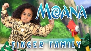 The Greatest Finger Family Song | Moana | Nursery Rhymes | WigglePop | Family Friendly | Kids Songs