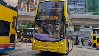（PIP 77A）城巴 N 5823 VZ 3927 77A 往田灣