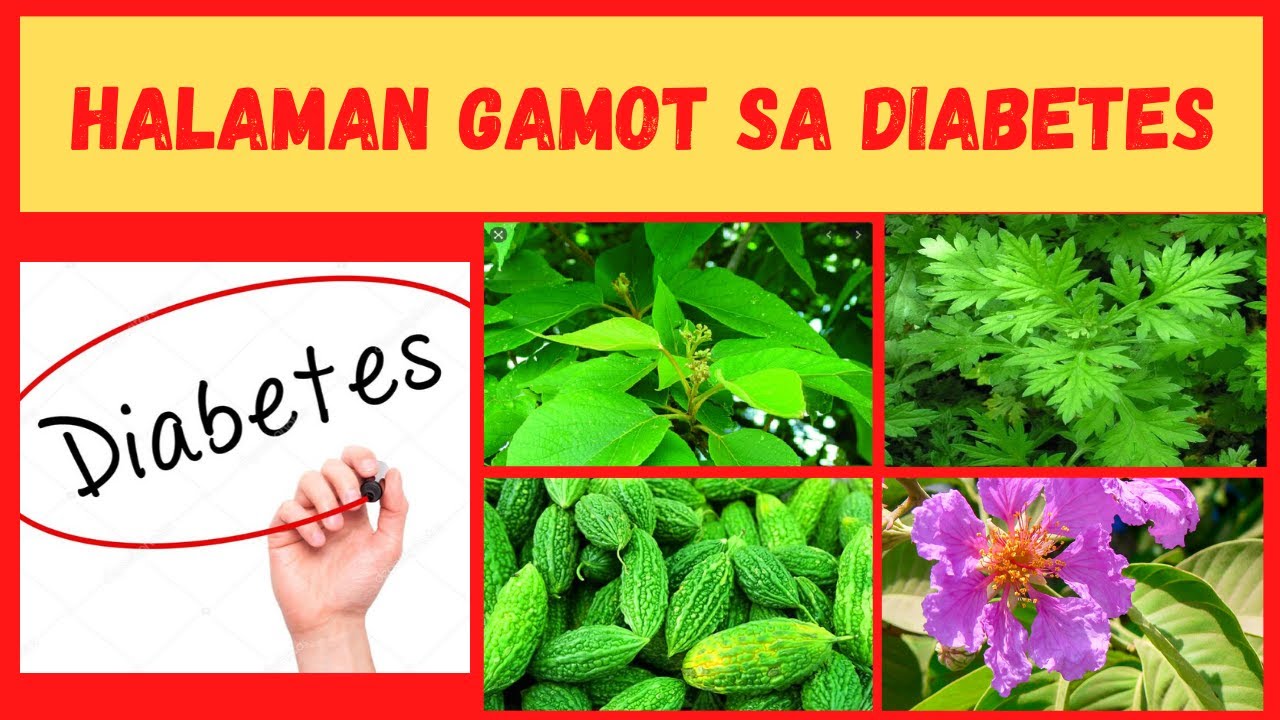 Anong Halamang Gamot Para Sa Uric Acid