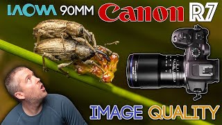 Canon R7 & Laowa 90mm MACRO : How good is the IMAGE QUALITY? [Sharpness, Contrast, Colour]